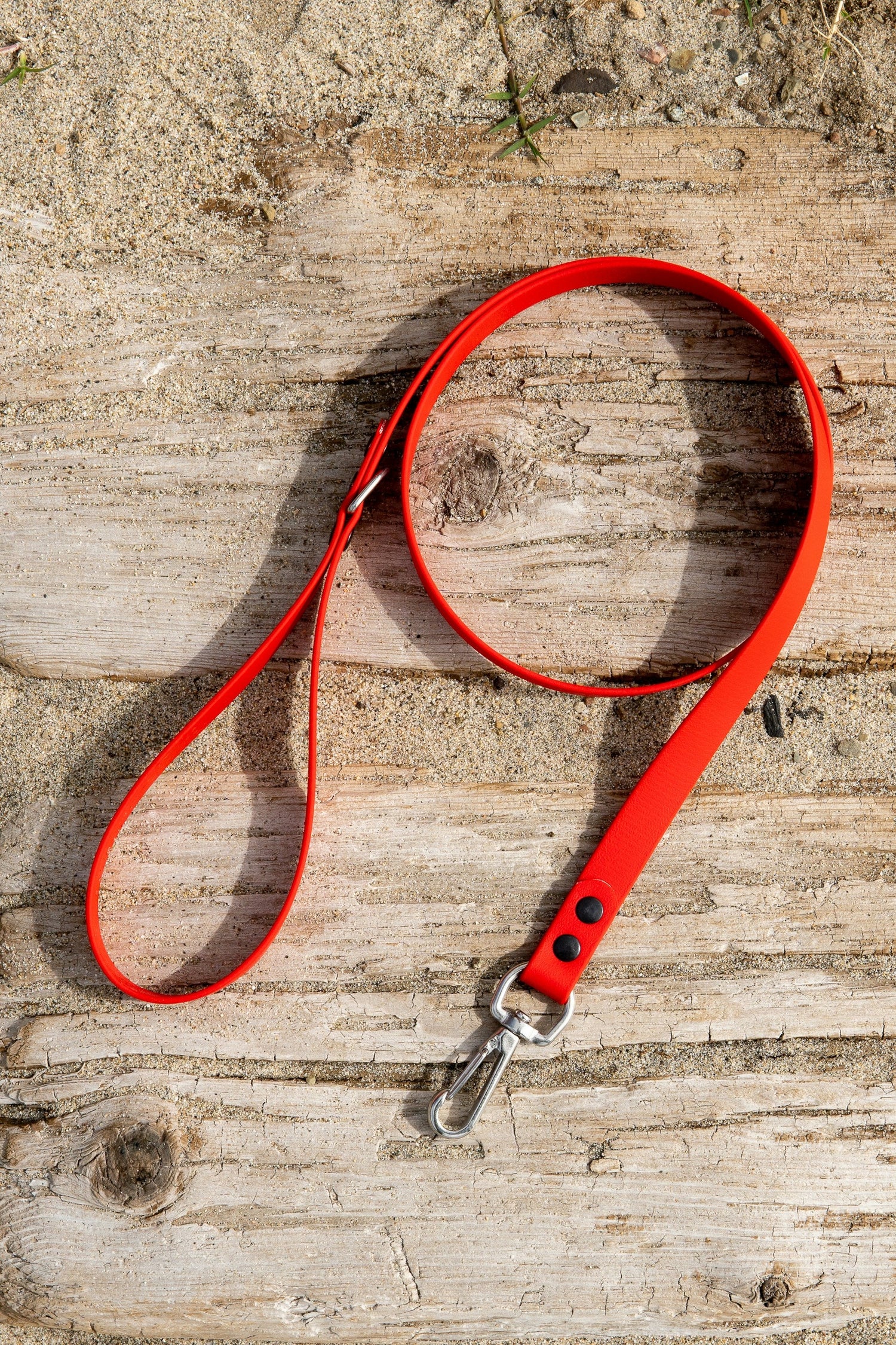 Pet Collars, Harnesses & Leashes