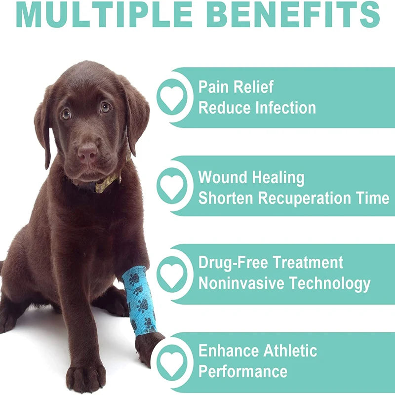 Laser Therapy Vet Device for Pets  Red Light Therapy Devices for Pain Relief
