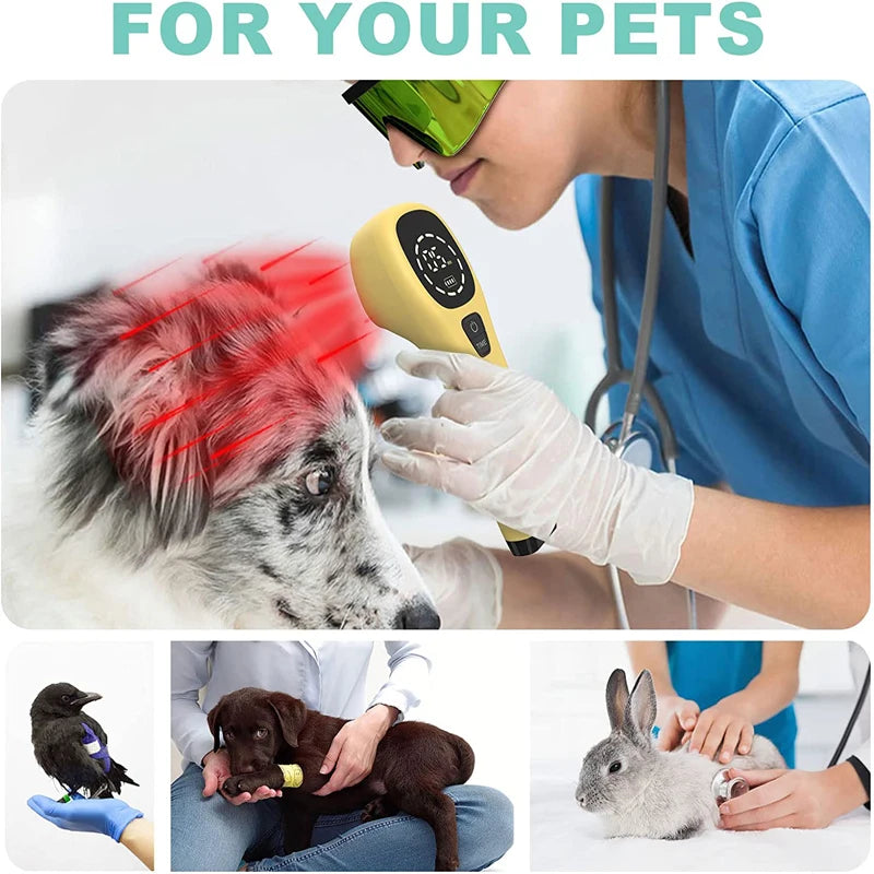 Laser Therapy Vet Device for Pets  Red Light Therapy Devices for Pain Relief